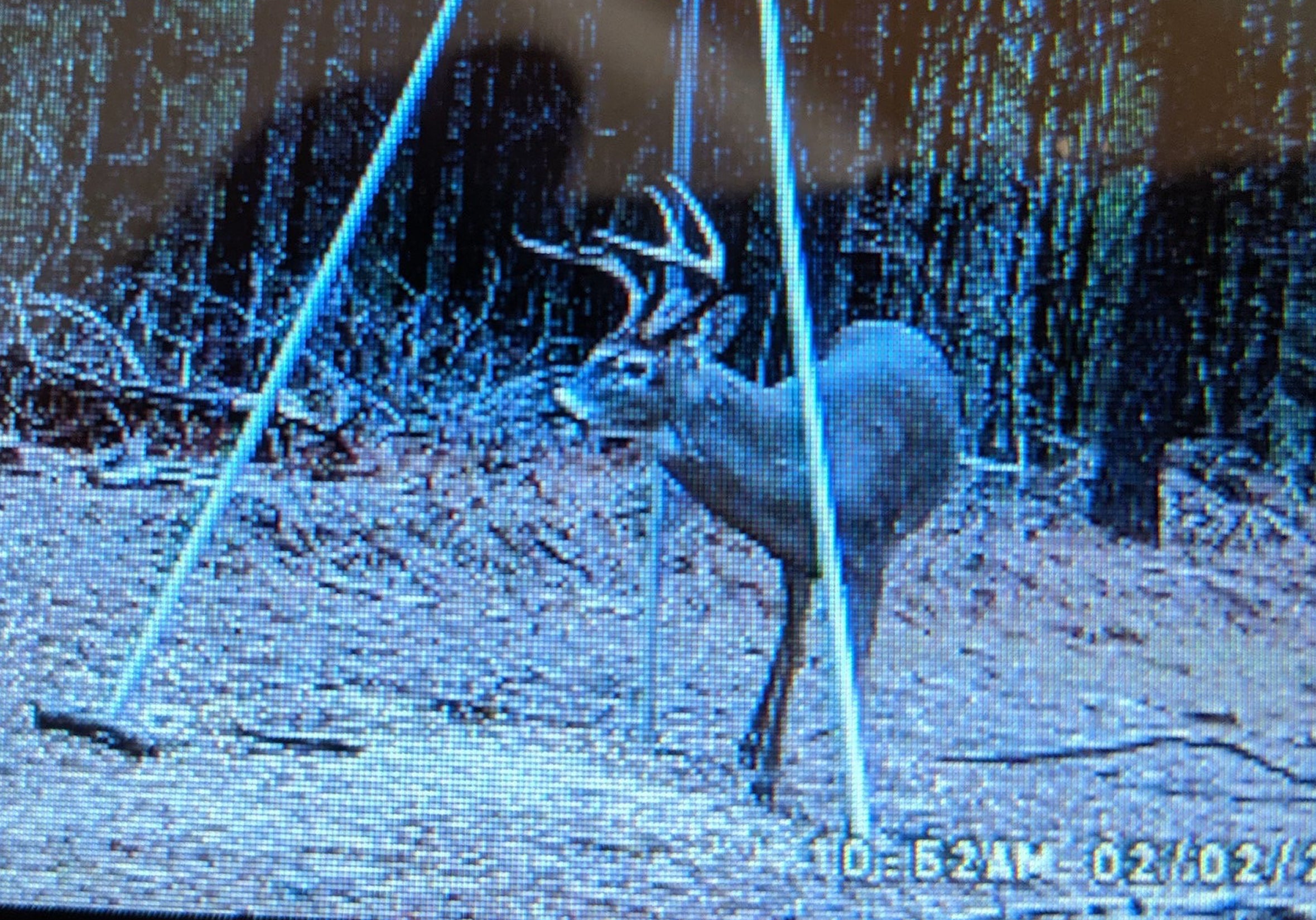 No Live Auction for 2020 State Lands Hunting Leases Outdoor Alabama